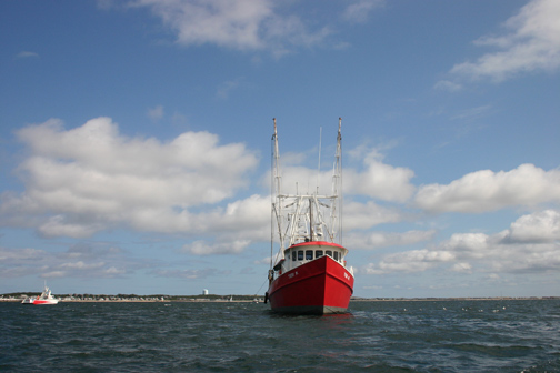 Provincetown Schooner Regatta