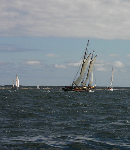 Provincetown Schooner Regatta