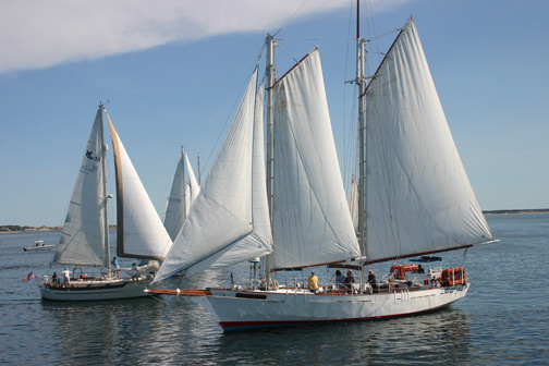 Provincetown Schooner Regatta