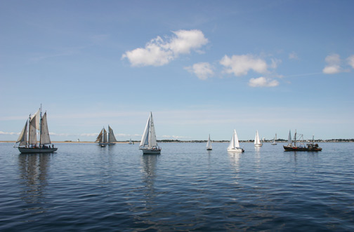 Provincetown Schooner Regatta